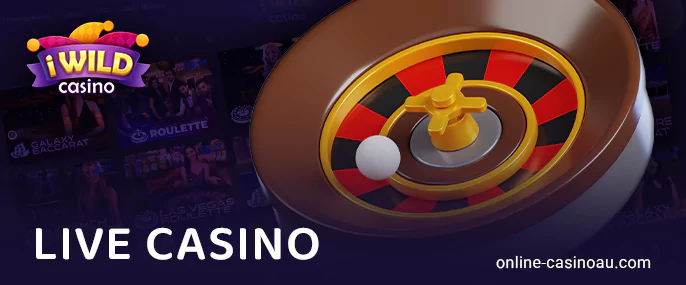 Play live games on the iWild Casino website