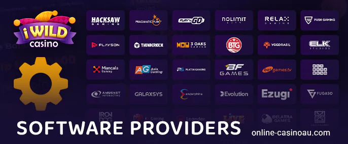 What are the gaming providers at iWild Casino