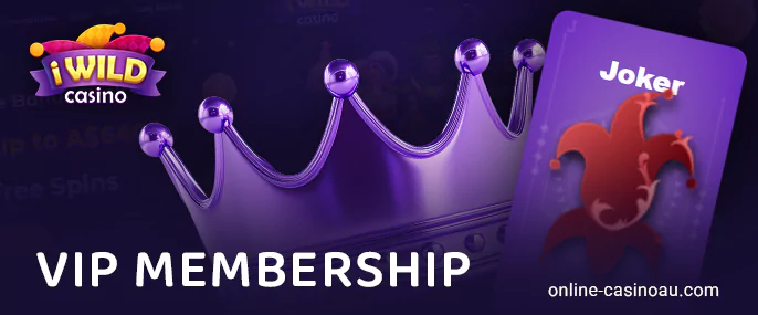 Participate in the VIP program on the iWild Casino website