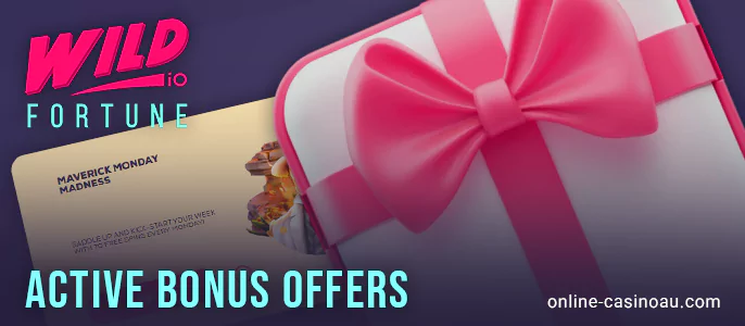 Take Bonuses for Wild Fortune Casino Players