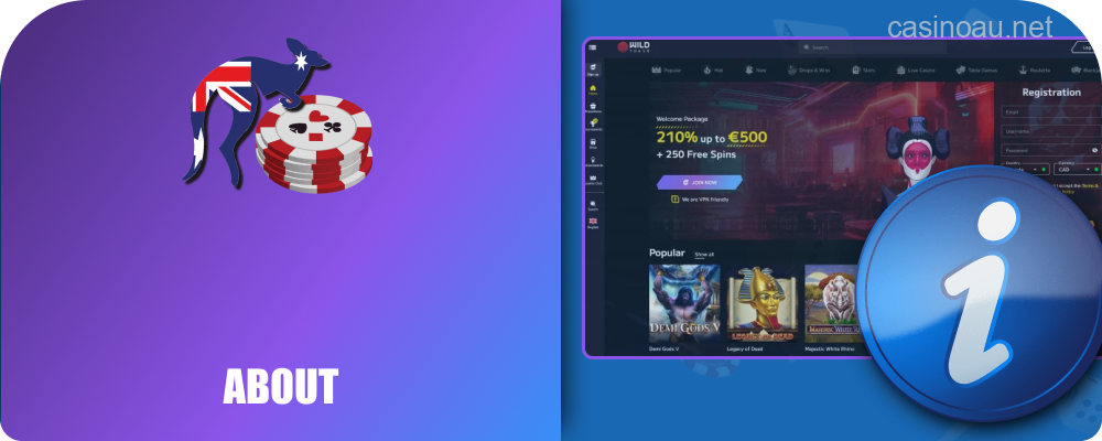 Key information about Wild Tokyo Casino platform