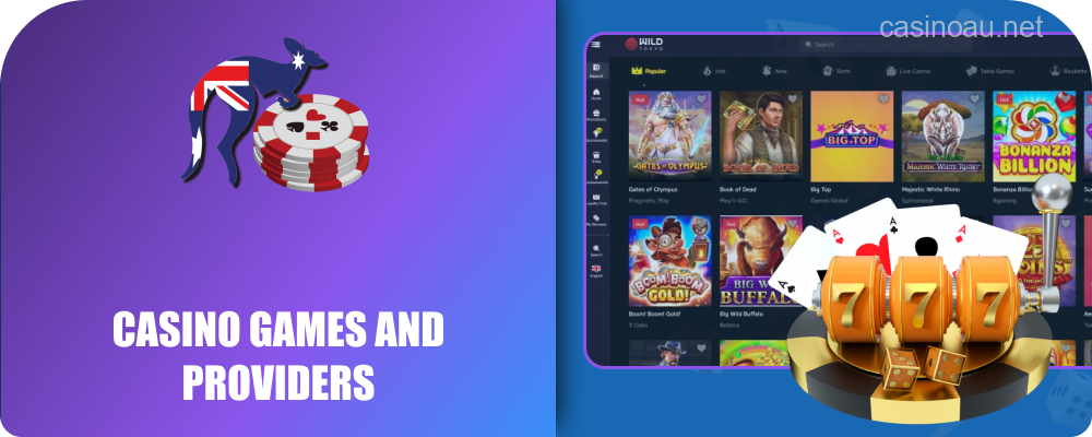 Game portfolio and software partners of Wild Tokyo